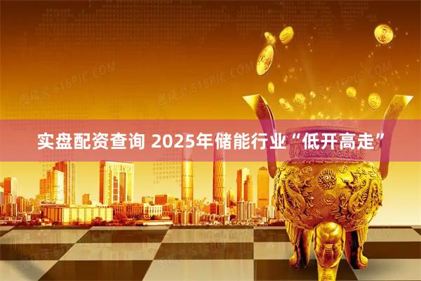 实盘配资查询 2025年储能行业“低开高走”
