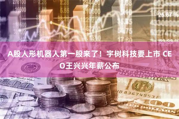 A股人形机器人第一股来了!宇树科技要上市 CEO王兴兴年薪公布